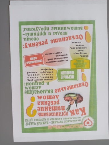 Питание ребенка летом. Питание ребенка летом.